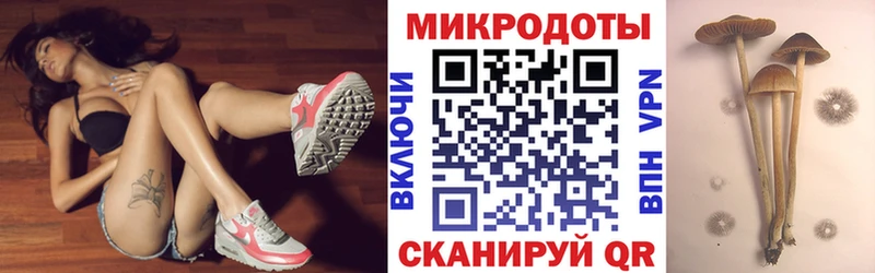 Галлюциногенные грибы мухоморы  Купить  Судак 